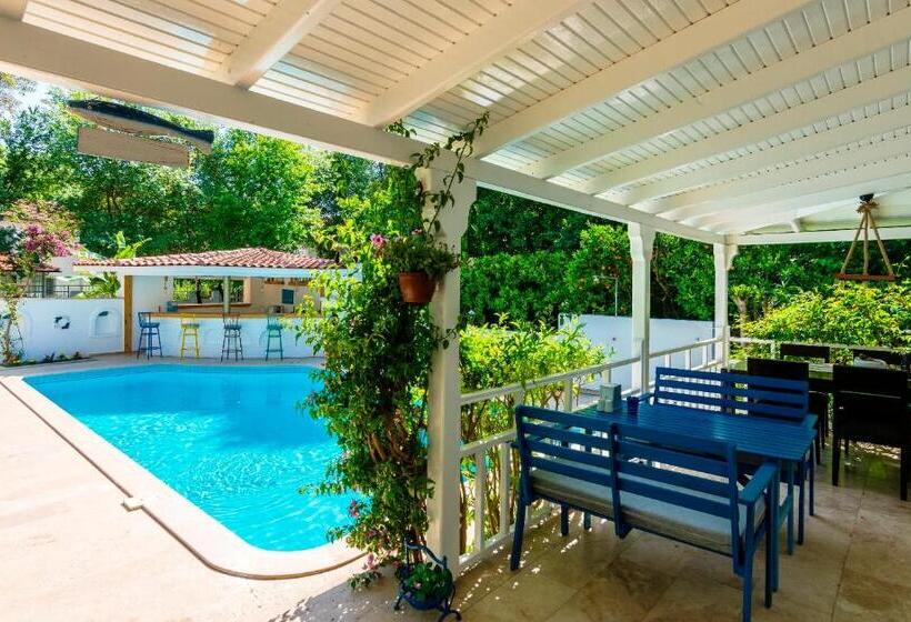 ホテル Calypso Cozy Suites