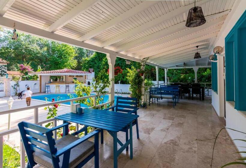 ホテル Calypso Cozy Suites