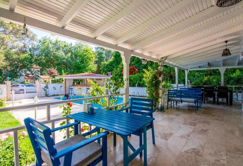 ホテル Calypso Cozy Suites