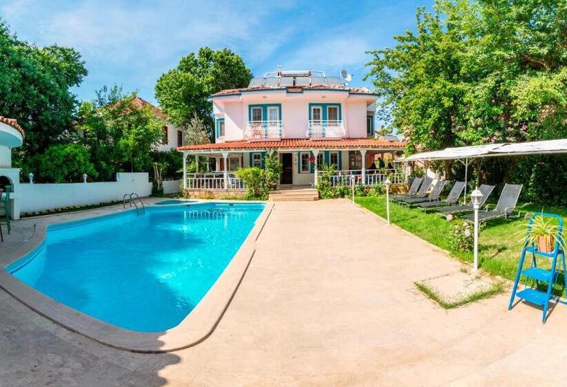 ホテル Calypso Cozy Suites