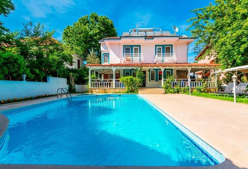 ホテル Calypso Cozy Suites