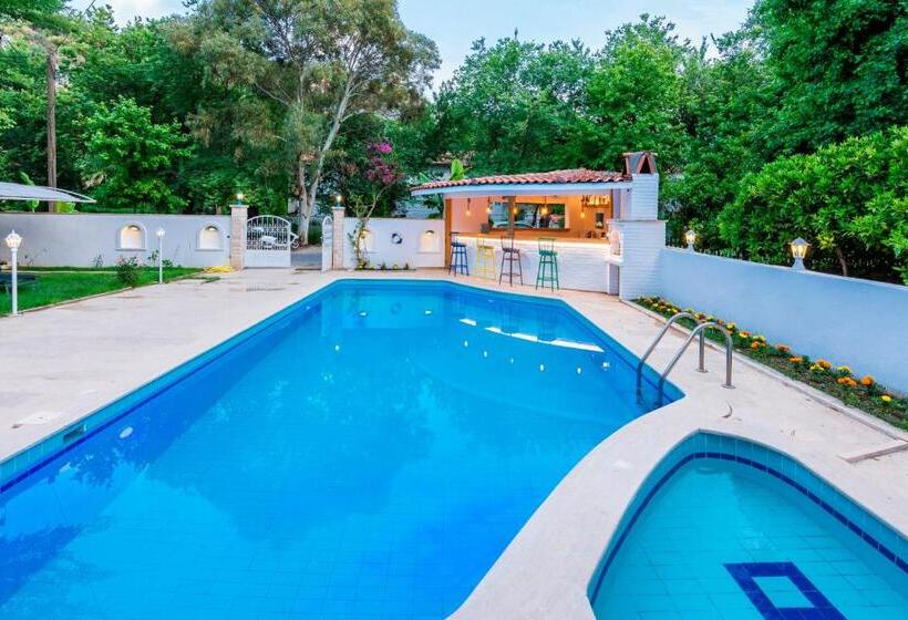 ホテル Calypso Cozy Suites