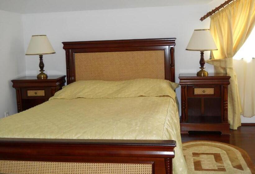 Отель Casa Domneasca