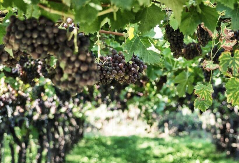 בית מלון כפרי Das Wanda