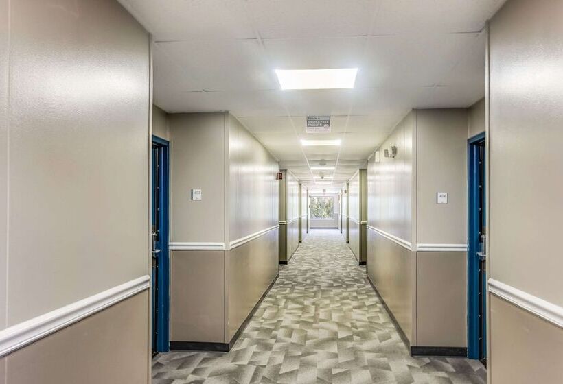 Отель Econo Lodge