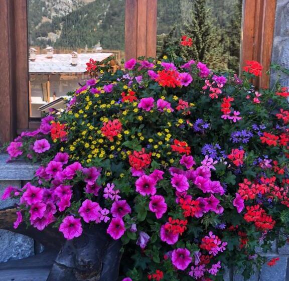 בית מלון כפרי Flora Alpina