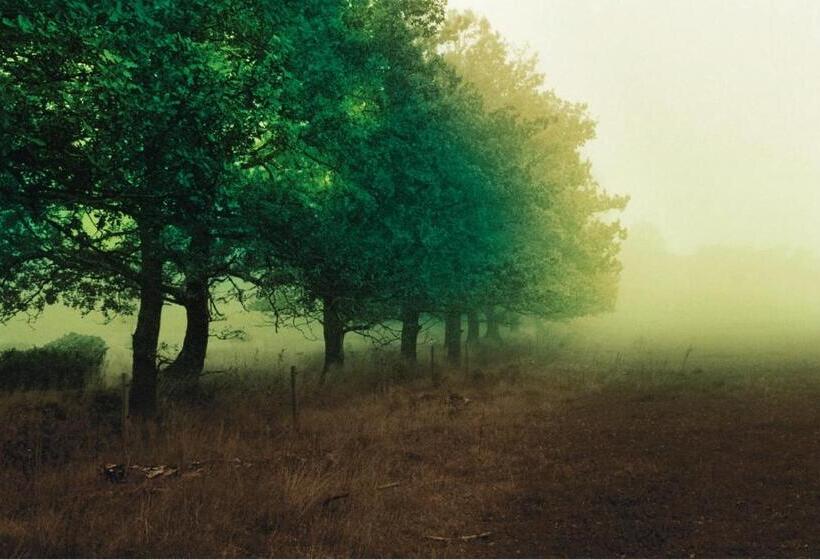 ホテル Hensbacka Herrgård