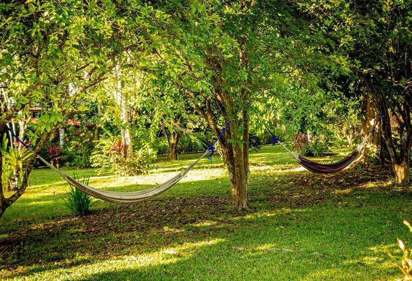 Jaco Hotel Docelunas