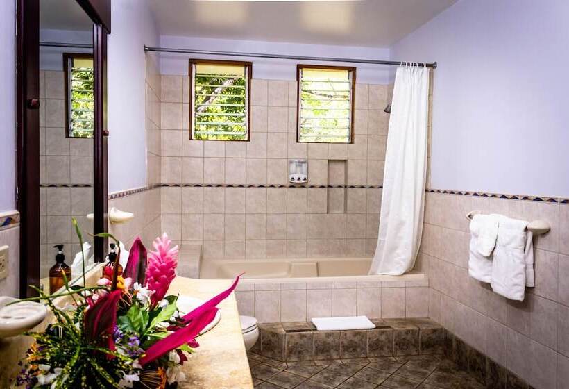 Jaco Hotel Docelunas