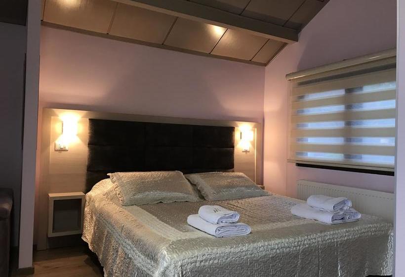 בית מלון כפרי Lyhnidas