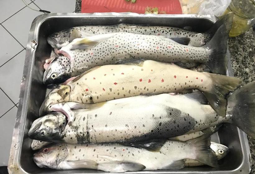 בית מלון כפרי Lyhnidas