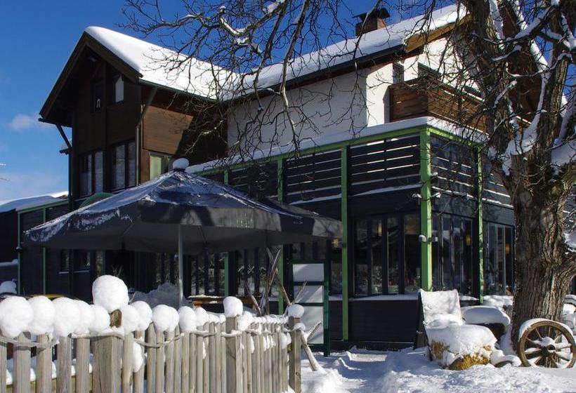 Отель Mehlounge Cafe & Restaurant