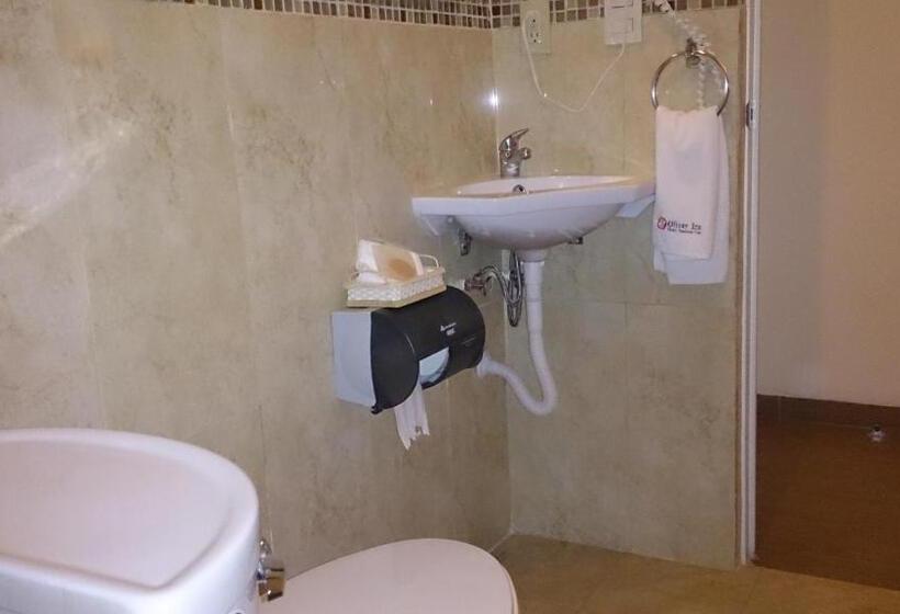 Отель Oliver Inn Business Class