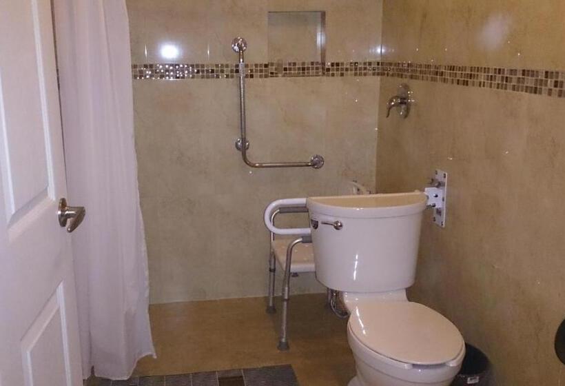 Отель Oliver Inn Business Class