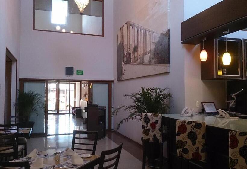 Отель Oliver Inn Business Class