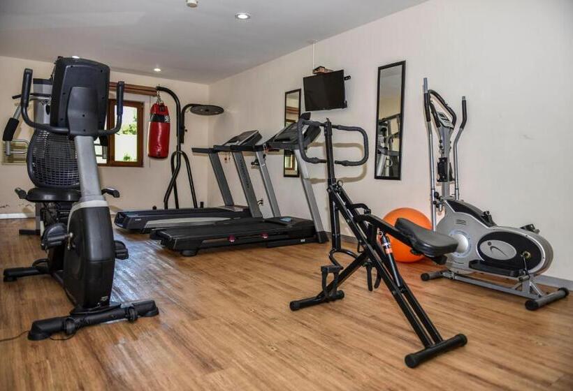 Отель Oliver Inn Business Class