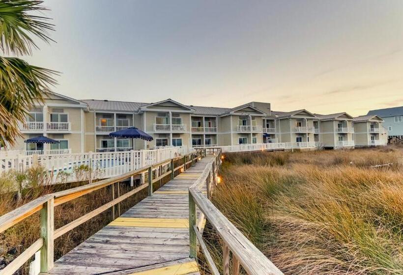 فندق Palm Suites