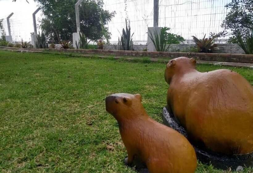 Отель Pousada Costa Doce