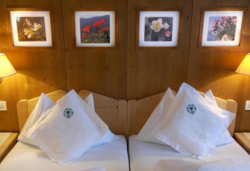 ホテル Schwarzer Adler