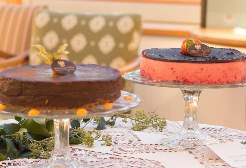 ホテル Schwarzer Adler