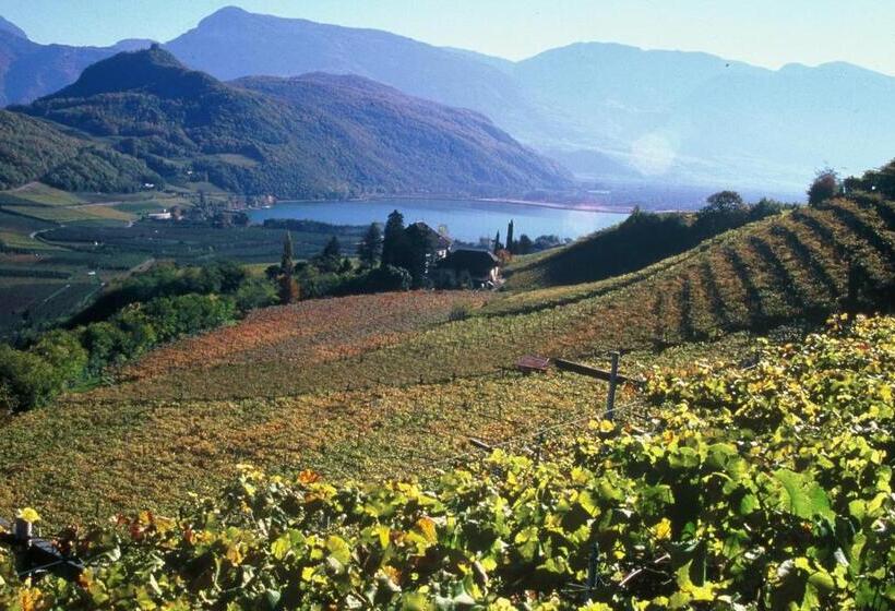 בית מלון כפרי Thalhof Am See