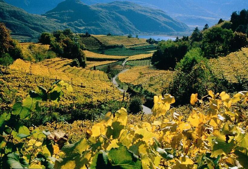 בית מלון כפרי Thalhof Am See