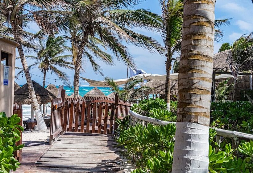 酒店 Villa Las Estrellas Tulum Located At The Party Zone