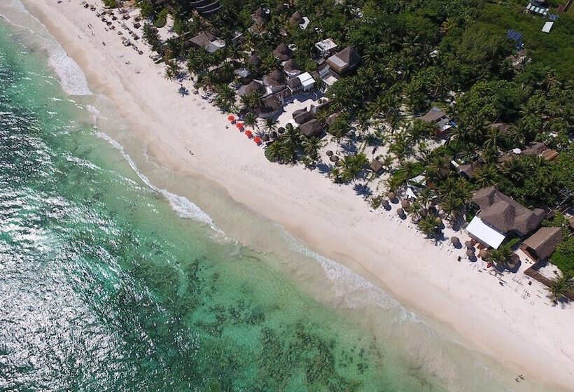 酒店 Villa Las Estrellas Tulum Located At The Party Zone