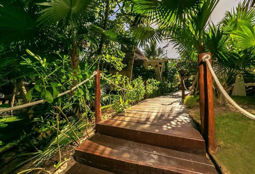 酒店 Villa Las Estrellas Tulum Located At The Party Zone