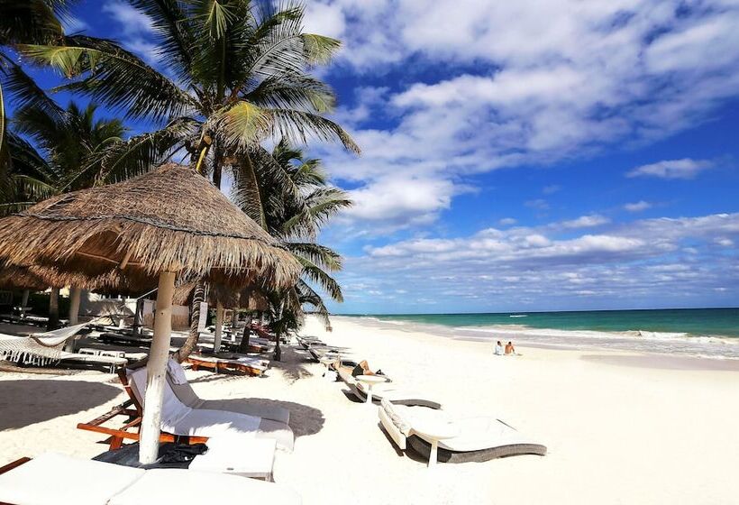 酒店 Villa Las Estrellas Tulum Located At The Party Zone