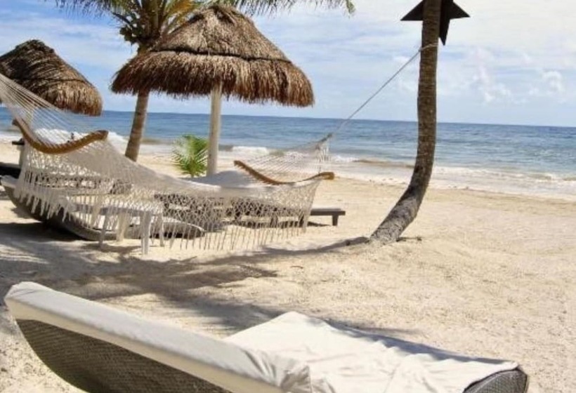 酒店 Villa Las Estrellas Tulum Located At The Party Zone