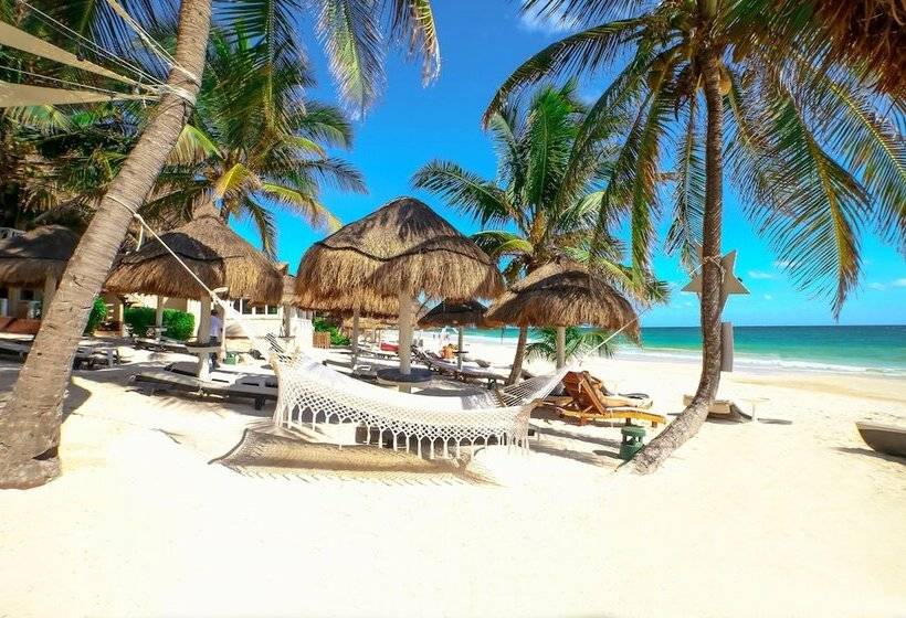 酒店 Villa Las Estrellas Tulum Located At The Party Zone