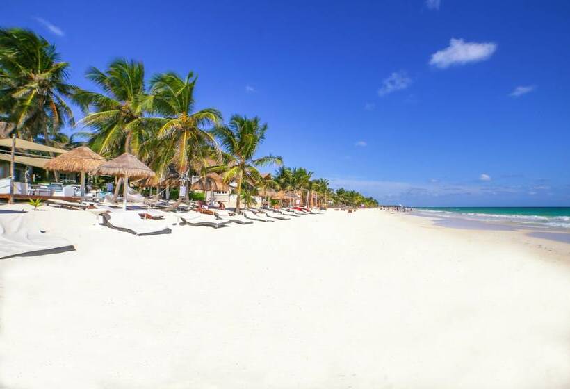 酒店 Villa Las Estrellas Tulum Located At The Party Zone