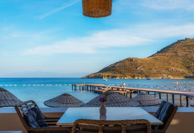 Liv Hotel By Bellazure