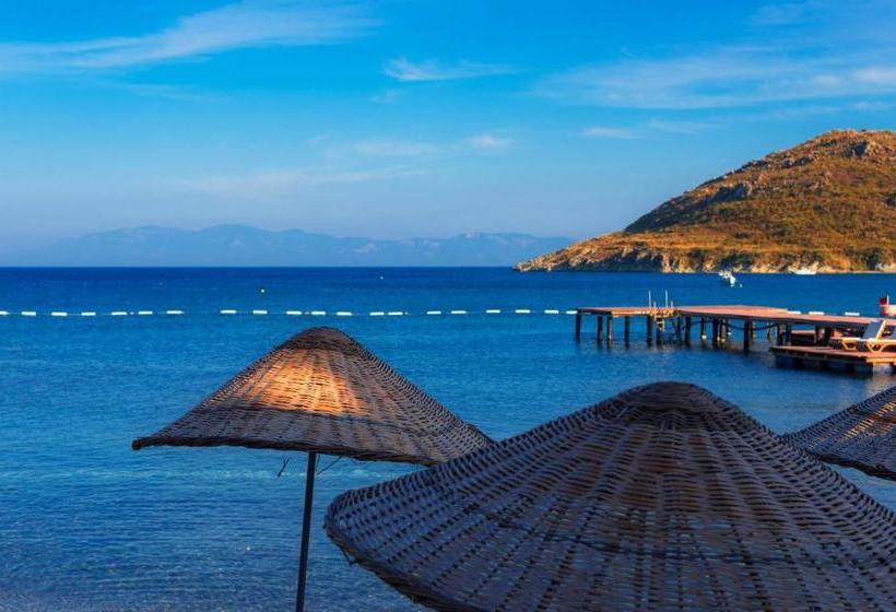 Liv Hotel By Bellazure