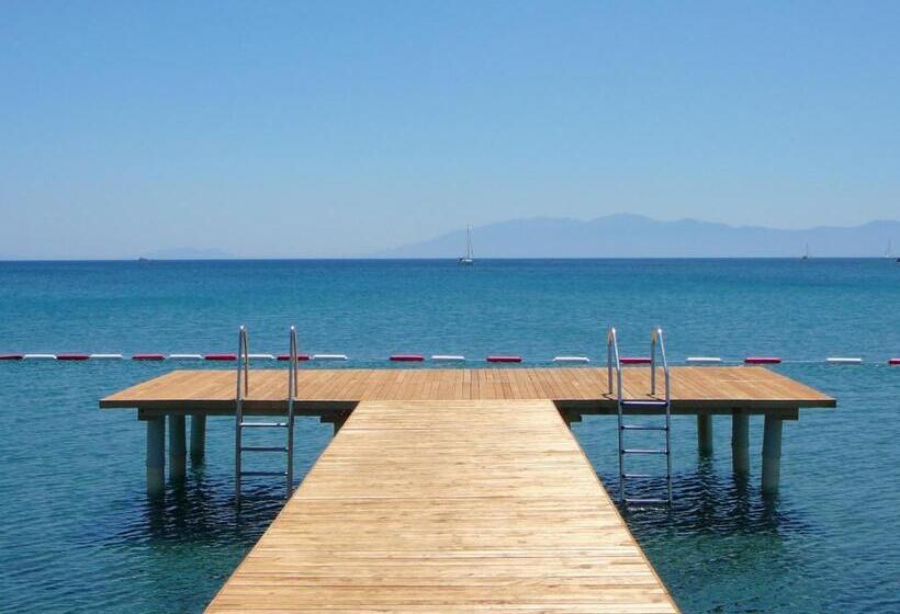 Liv Hotel By Bellazure