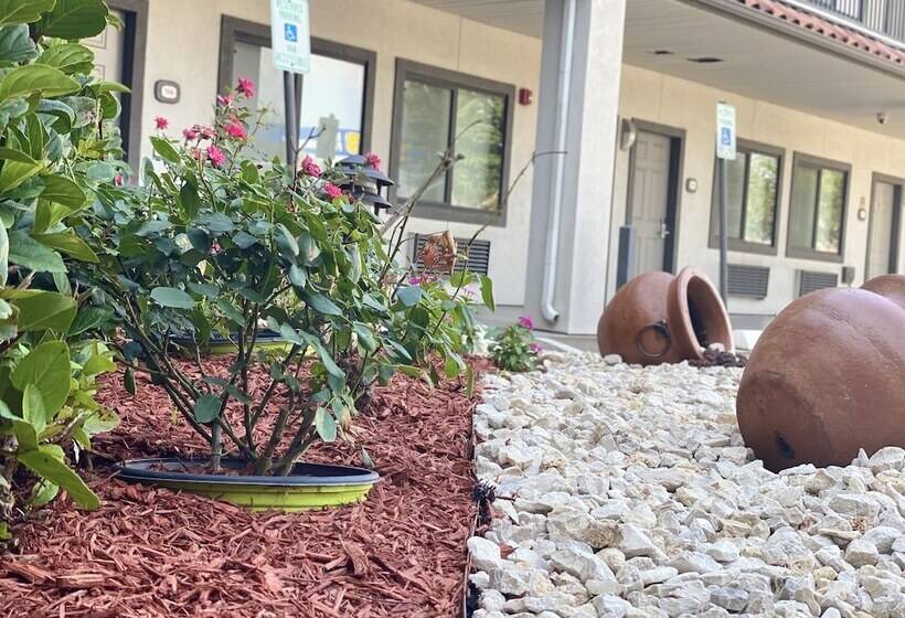 Мотель Island Suites Hobby Airport