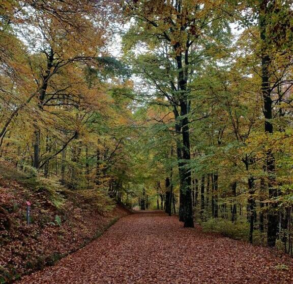 Mountain Hotel Osteria Di Montagna La Peonia Monte Generoso