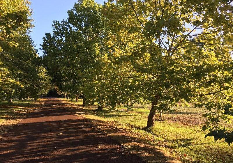 منتجع Losari Retreat