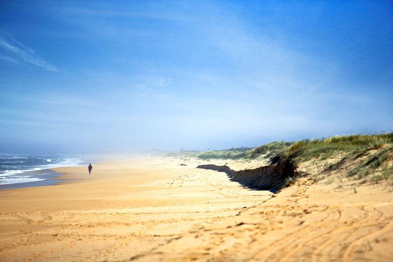 리조트 Paradise Holiday Apartments