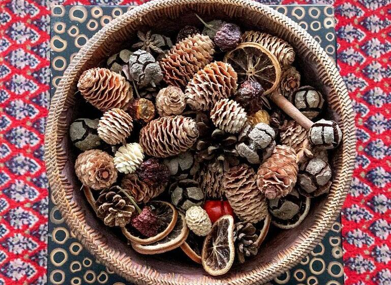 Spoon And The Stars Hostel