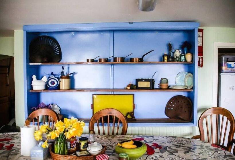 Spoon And The Stars Hostel