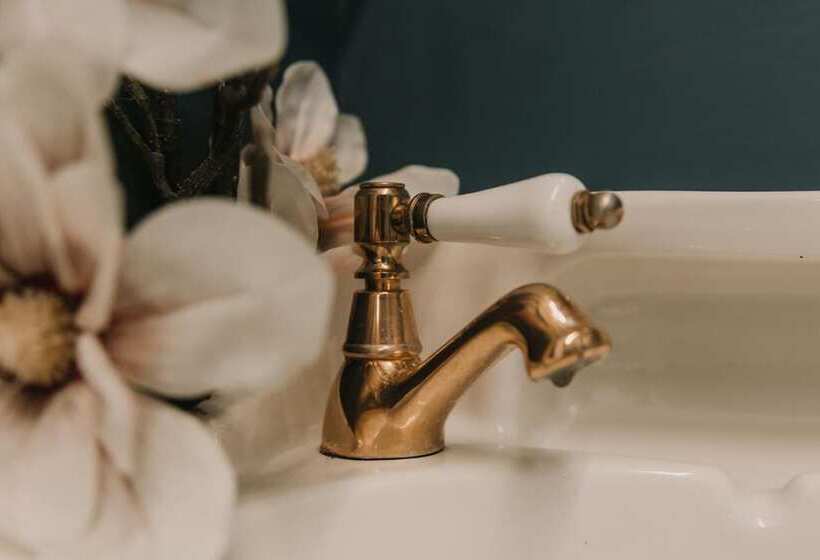 Spoon And The Stars Hostel