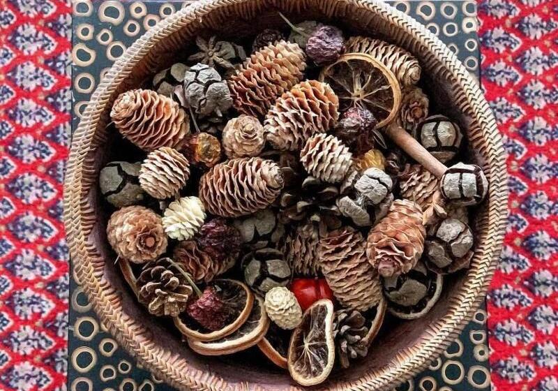 Spoon And The Stars Hostel