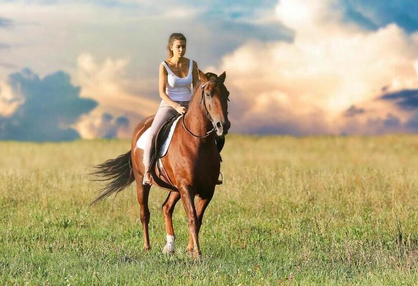 Sztár Motel étterem