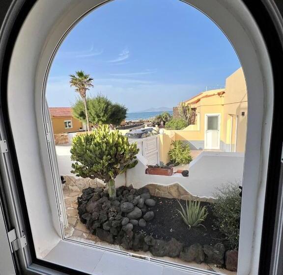 הוסטל Pura Vida Surf Camp & School