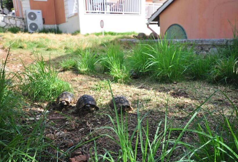 Отель Michelangelo Resort