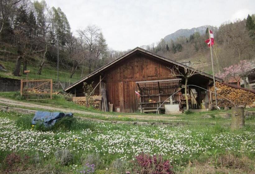 B&b Al Larice