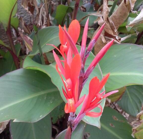 B&b La Casa Bianca Di Porto Conte