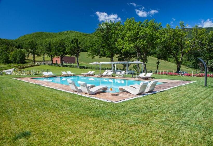 مبيت وإفطار Agriturismo Colle Casini Cortesi
